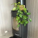 Downtown Apartment, Close To The Zoo