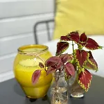 Daire Downtown Apartment, Close To The Zoo