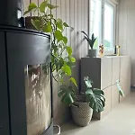 Downtown Apartment, Close To The Zoo Daire