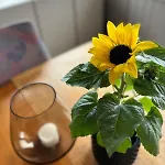 Downtown Apartment, Close To The Zoo Kristiansand