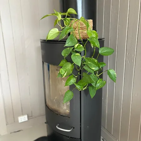 Downtown Apartment, Close To The Zoo