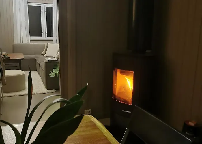 Downtown Apartment, Close To The Zoo 克里斯蒂安桑