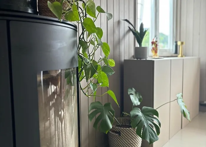 Downtown Apartment, Close To The Zoo Lägenhet