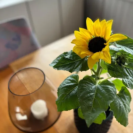 Downtown Apartment, Close To The Zoo Kristiansand